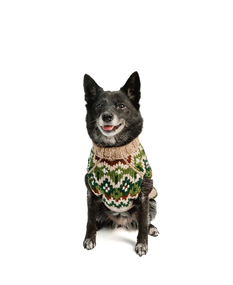 Chilly Dog S Raggwool Fairisle