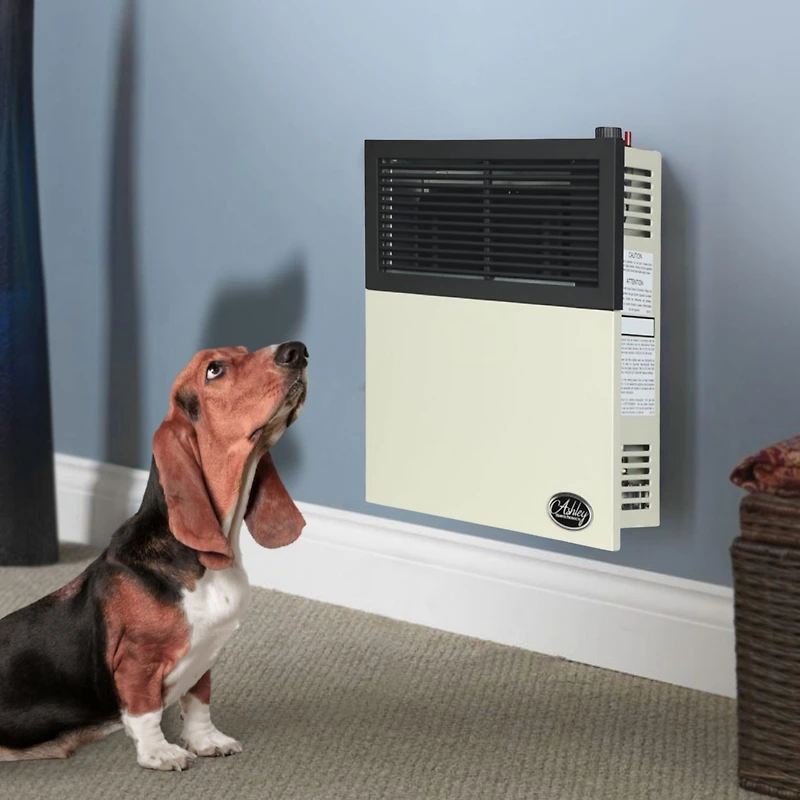 Ashley Hearth Products 11,000 Btu Direct Vent Liquid Propane Wall Mount Heater
