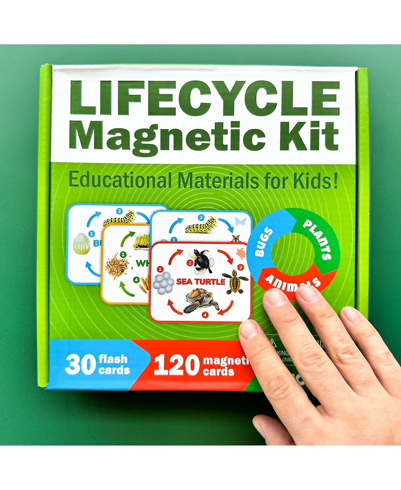 Quokka Life Cycle Kit Toy Montessori - Flash Cards Science Activities