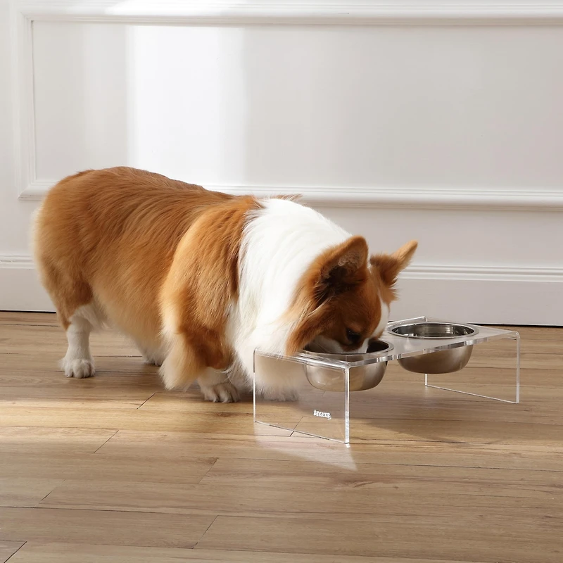 Keaton Modern Acrylic Rectangular Elevated Pet Feeder with 2-Stainless Steel Bowls