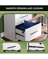 2-Drawer Wood Lateral File Cabinet with Lock for Office Home