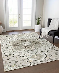 Addison Chantille Machine Washable ACN1036 8'x10' Area Rug
