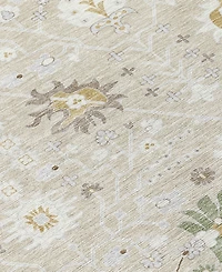 Addison Chantille Machine Washable ACN1009 9'x12' Area Rug