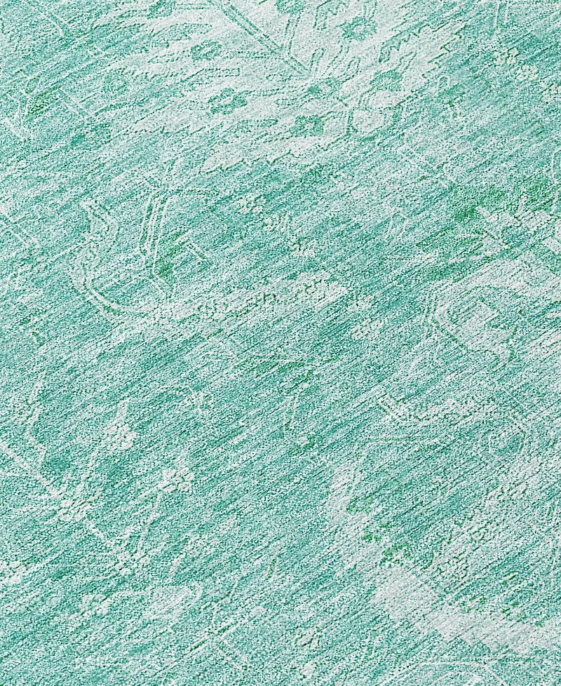 Addison Chantille Machine Washable ACN1083 3'x5' Area Rug