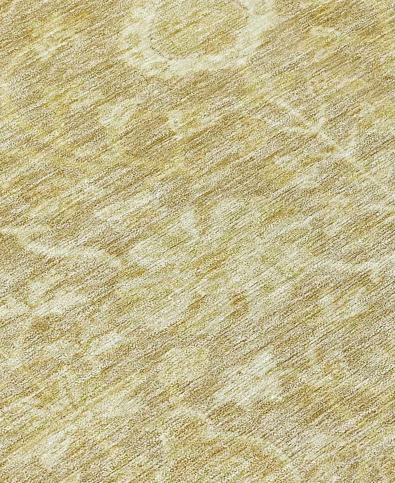 Addison Chantille Machine Washable ACN1086 2'6"x3'10" Area Rug