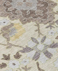 Addison Chantille Machine Washable ACN1002 2'6"x3'10" Area Rug