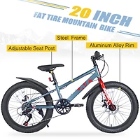 Streamdale 20" Kids' Fat Tire Mountain Bike (5+ Years)