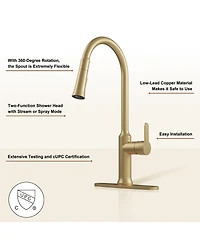 Casainc 1.8 Gpm Single-Handle Pull-Down Kitchen Faucet Single Hole