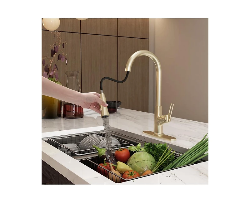 Casainc Single-Handle Pull-Down Kitchen Faucet Single Hole Faucet with Deck Plate