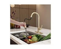 Casainc Single-Handle Pull-Down Kitchen Faucet Single Hole Faucet with Deck Plate