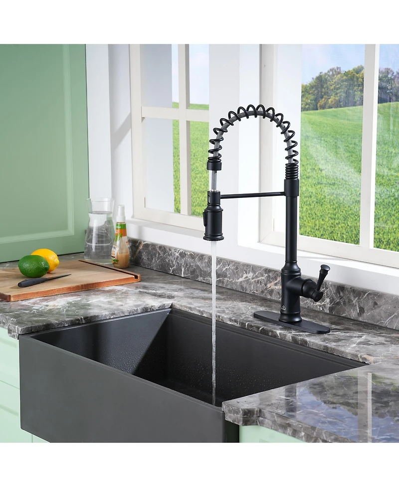 Casainc Single-Handle Spring Pull-Down Kitchen Faucet Single Hole Faucet 1.8 Gpm