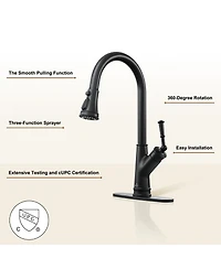 Casainc Single-Handle Pull-Down Kitchen Faucet Single Hole Faucet 1.8 Gpm