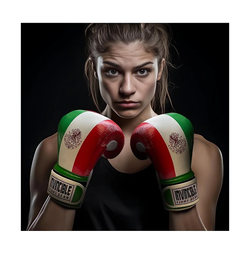 Amber Sports Invincible Fight Gear Standard Hook and Loop Leather Training Boxing Gloves with Mexican Flag Colors