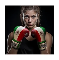 Amber Sports Invincible Fight Gear Standard Hook and Loop Leather Training Boxing Gloves with Mexican Flag Colors