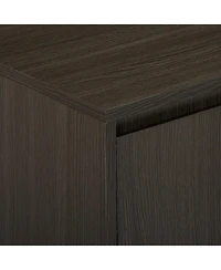 Kings Brand Furniture Carmelo 2-Door Accent Cabinet, Oak Gray