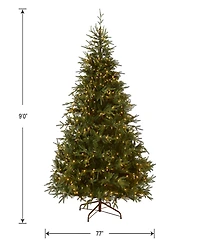 National Tree 9' "Feel Real" Frasier Grande Hinged Tree with 1500 Dual Led Lights
