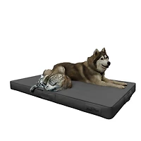 Bingopaw 38'' Dog Bed Sofa Microfiber Leather Foldable Pet Mattress Sofa