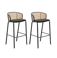 LeisureMod Seat and Black Powder Coated Steel Frame, Set of 2