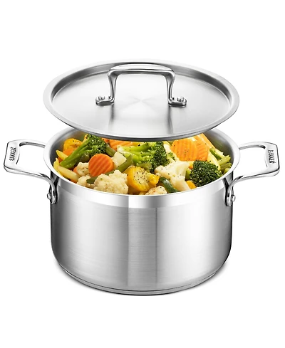 Bakken-Swiss 5-Quart Brushed Stainless Steel Stockpot with Lid – Heavy-Duty Induction Pot with Riveted Handles – Ideal for Soup, Seafood