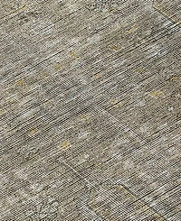 Addison Chantille Machine Washable ACN790 2'6''x3'10'' Area Rug