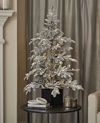 Seasonal 4ft Jackson Flocked Pine, 150 Warm Led Lights