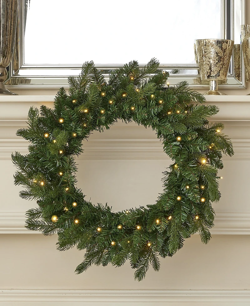 Seasonal 24" Palmetto Pine Wreath, 50 Dual Led Lights