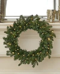 Seasonal 24" Palmetto Pine Wreath, 50 Dual Led Lights