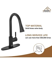 Casainc Pull Down Sprayer Kitchen Faucet with Dual-Function and Deck Plate Spot-Free