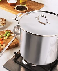 All-Clad Stainless Steel 16 Qt. Stockpot with Lid