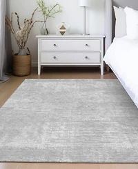 Addison Chantille Machine Washable ACN839 2'6"x3'10" Area Rug