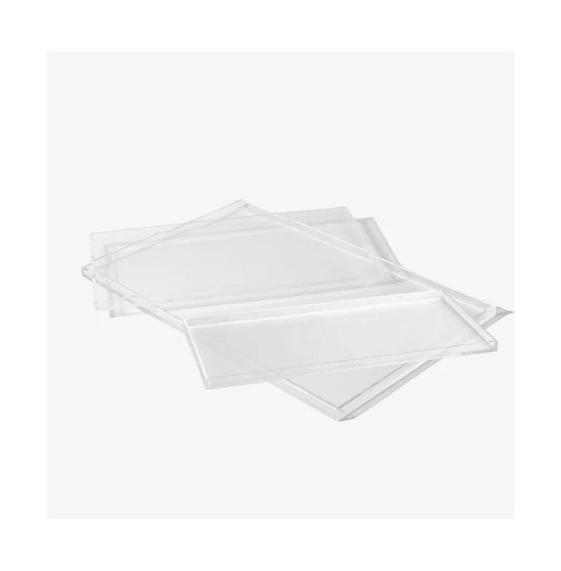 Hiddin Clear Overflow Feeder Tray