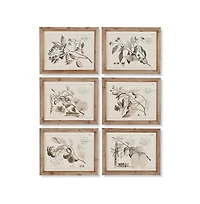 Fruit Bearing Branch Illustrations Set of 6