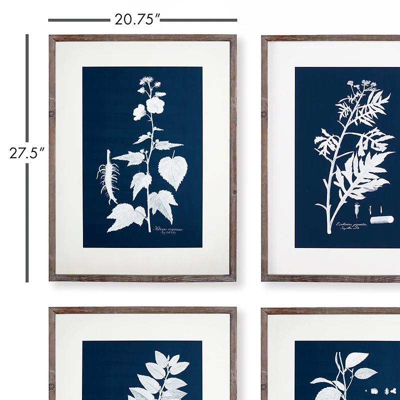 Cyano Botanical Leaf Study Set of 4