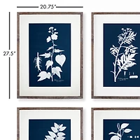 Cyano Botanical Leaf Study Set of 4