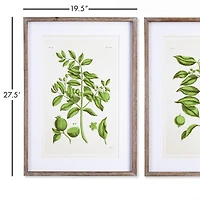 Guava Prints Set of 2