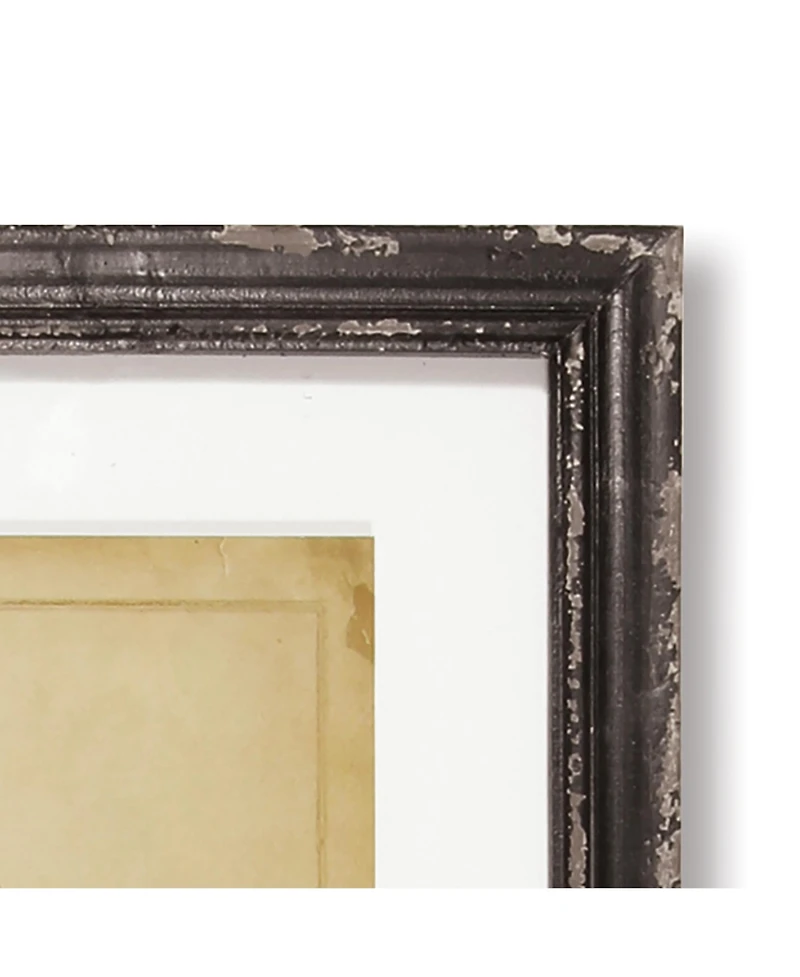 Framed Vintage Fern Prints Set of 8