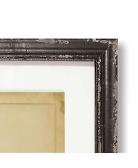 Framed Vintage Fern Prints Set of 8