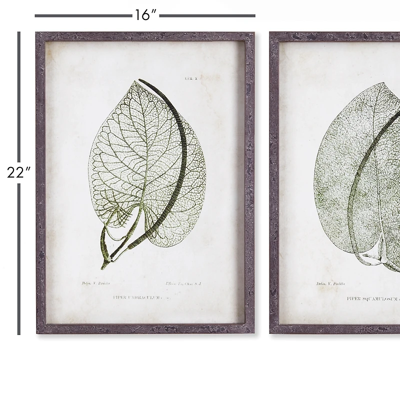 Cordate Leaf Study Set of 2