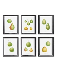 Pear Study, Set Of 6 Wall Art