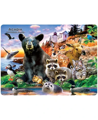 Masterpieces Acadia National Park 48 Piece Tray Puzzle