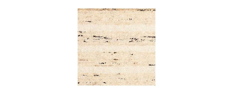 Liora Manne' Mojave Horizon Stripe 3'6"x5'6" Area Rug