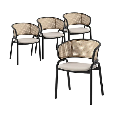 Dining Chair With Stainless Steel Legs Velvet Seat and Wicker Back