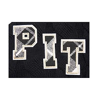 Pro Standard Women's Black Pittsburgh Steelers Prep V-Neck Pullover Sweater