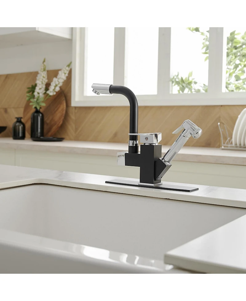 Double-Handle Pull-Out Sprayer 2 Spray Low Arc Kitchen Faucet With Deck Plate in Matte Black & Polished Chrome