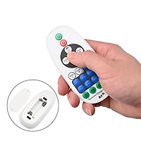 DELight Del-CON01 2 Pack Controller with 23-Key Remote for Neon Lights Models Del-D50W, Del-D100W