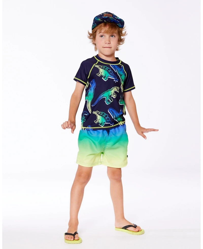 Deux par Baby Boys Swim Trunks Blue, Green, And Lime Gradient