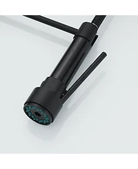 Single-Handle Pull-Down Sprayer 2 Spray High Arc Kitchen Faucet