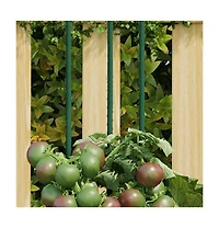Garden Plant Stakes 30 pcs Green 23.6" Steel