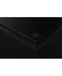 Definitive Technology Descend DN15 15" Subwoofer
