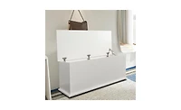 Storage Chest Trunk, Lift Top Wood Box for Entryway Bench Organizer Home Furniture
